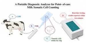 手持式牛奶体细胞快速计数仪研制成功
