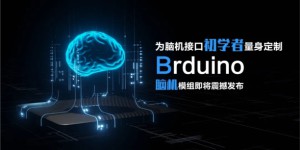 为脑机接口初学者量身定制 Brduino脑机模组即将震撼发布